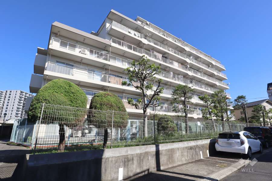 金町スカイハイツの外観(西側から)　