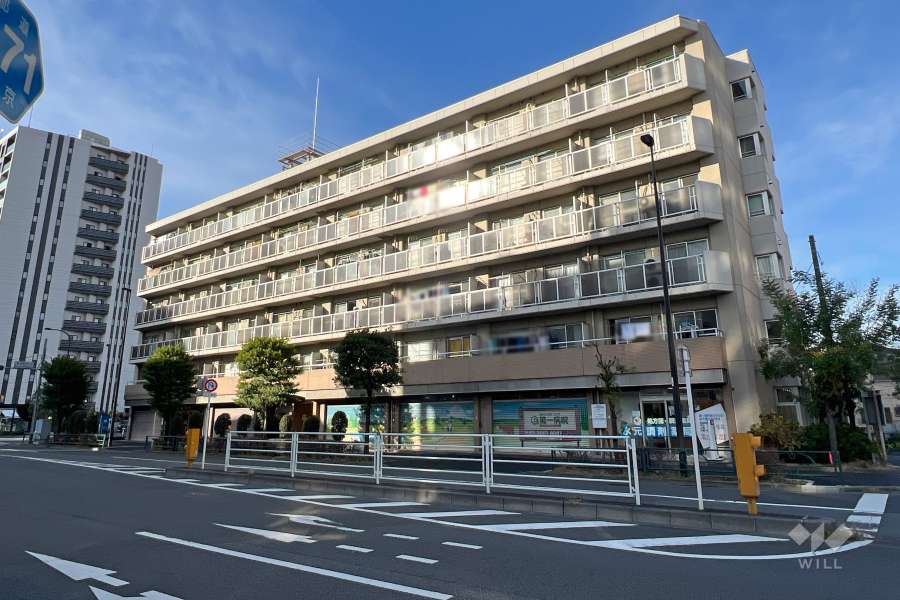 金町ハイツ（東金町4丁目）の外観（北東側から）