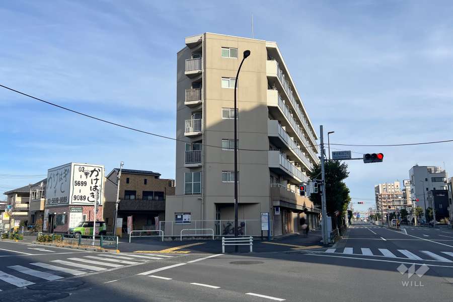 金町ハイツ（東金町4丁目）の外観（南側から）