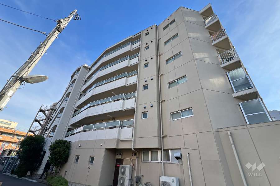 金町ハイツ（東金町4丁目）の外観（南西側から）