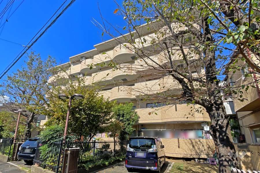 ロイヤルプラザお花茶屋の外観（南東側から）