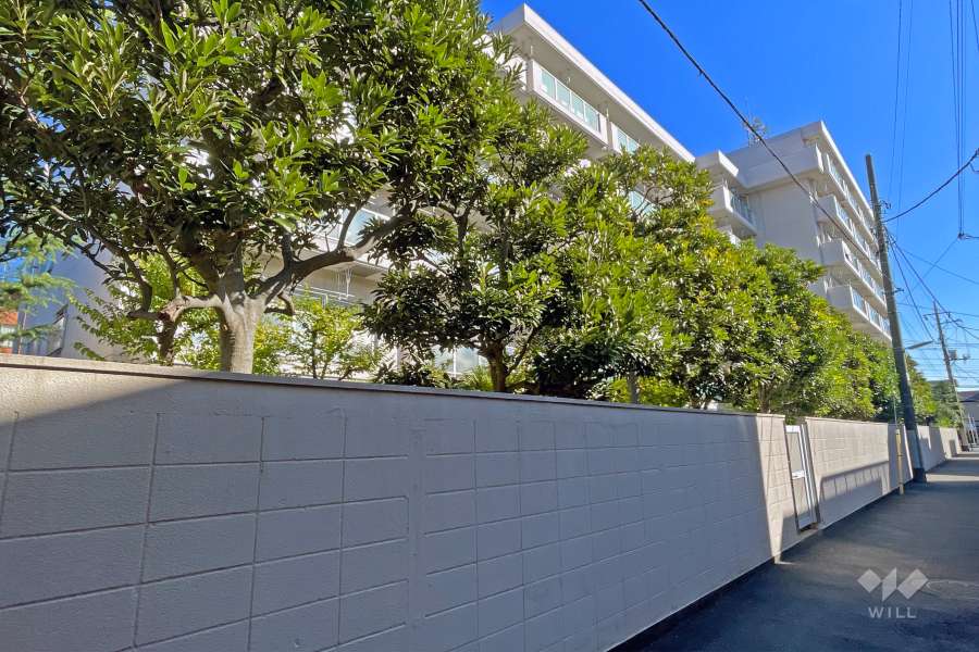 アイビハイツ柴又の外観（南西側から）