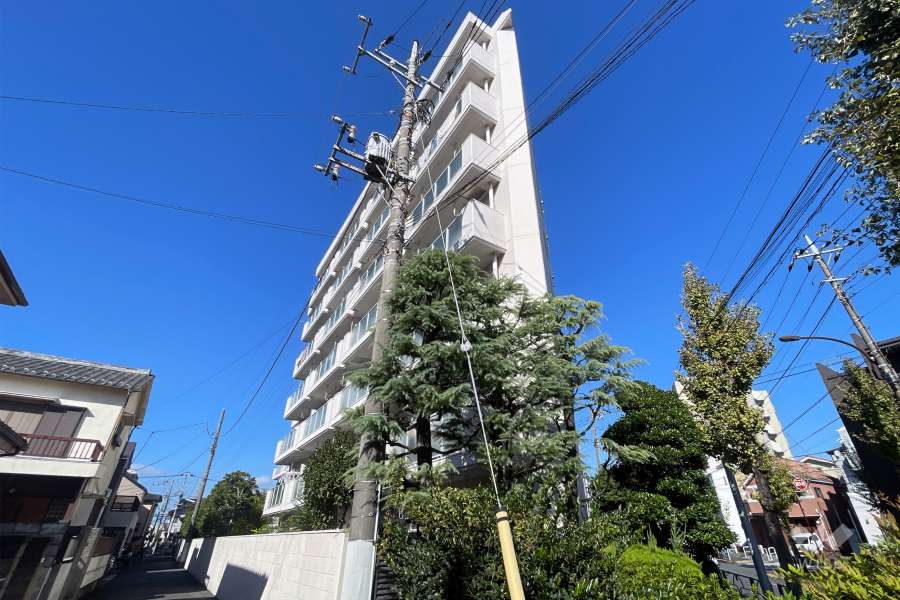 アイビハイツ柴又の外観（南東側から）