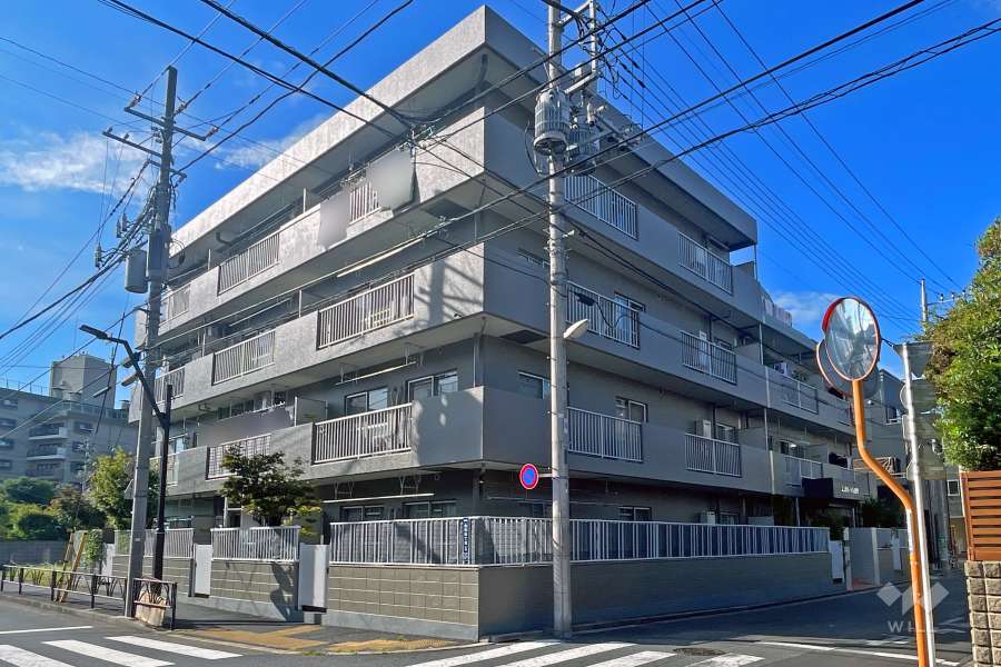 エンゼルハイム金町の外観（南東側から）