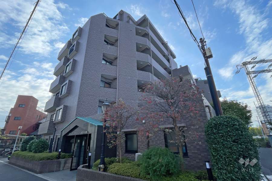 ドラゴンマンション金町壱番館の外観（北西側から）