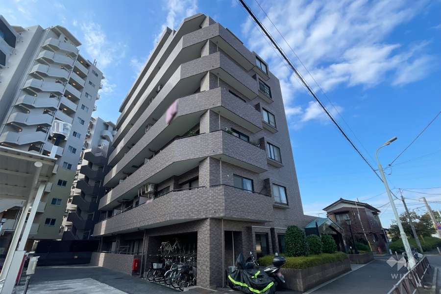 ドラゴンマンション金町壱番館の外観（北東側から）
