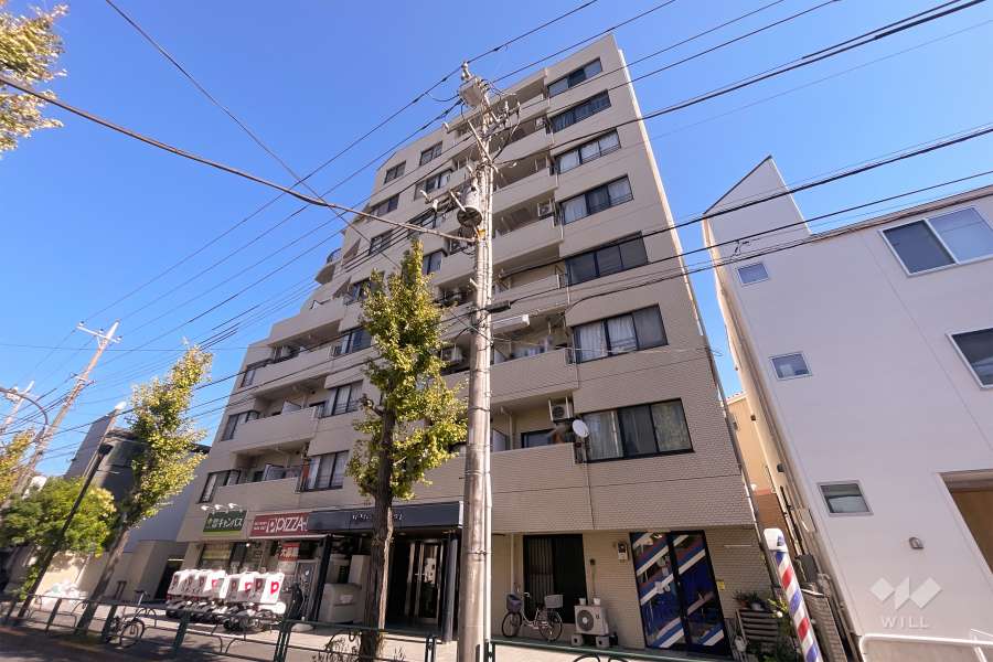ナビオ柴又の外観（南西側から）