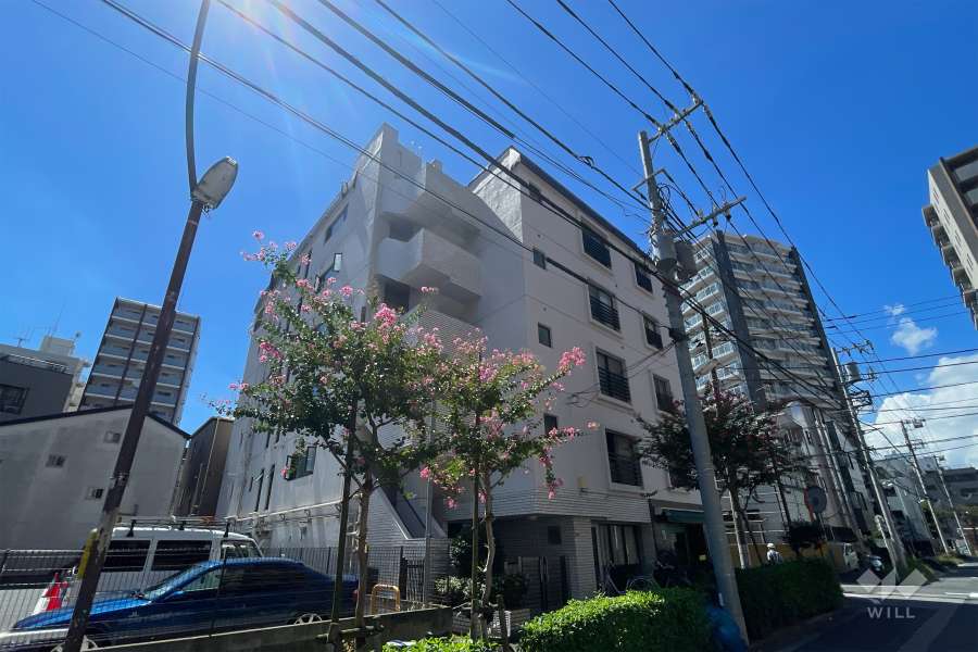 グリーンパーク亀有の外観（北東側から）