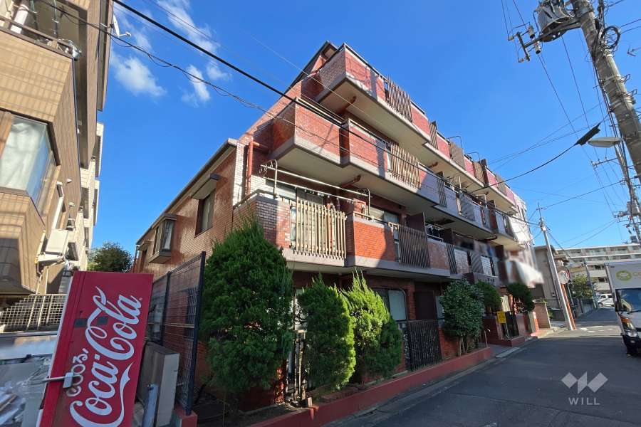 セザール新小岩の外観（北西側から）