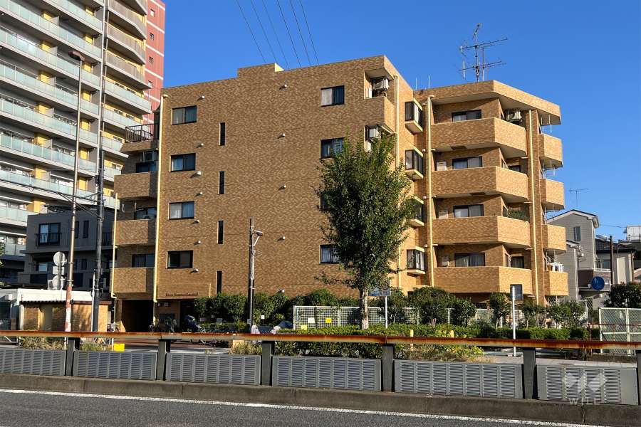 ライオンズマンション青戸第3の外観（西側から）