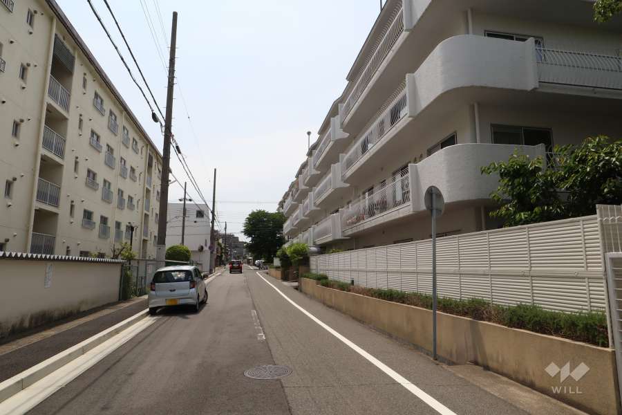 敷地南側の前面道路