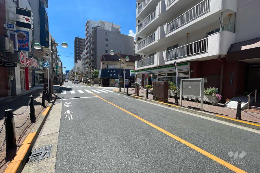 敷地の東側前面道路（北側から）