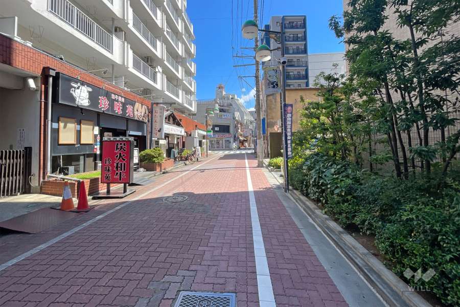 敷地の南側前面道路（西側から）