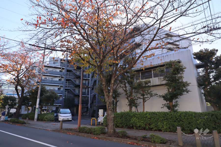 鎌倉町パークファミリアの外観(北西側から)