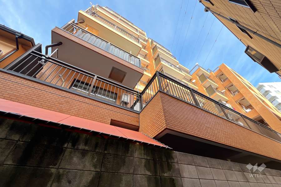 ライオンズマンション金町第3の外観（南側から）