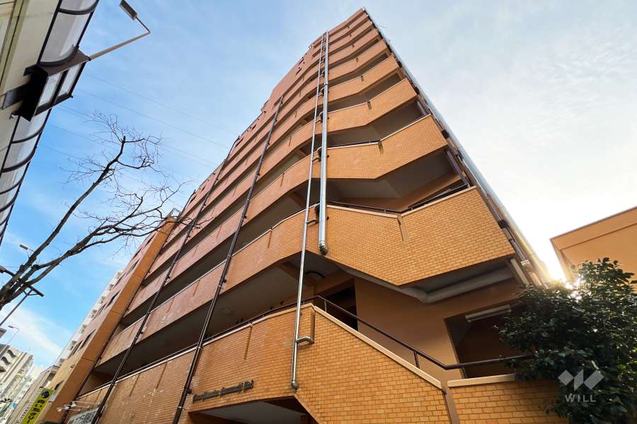 ライオンズマンション金町第3の外観（北西側から）