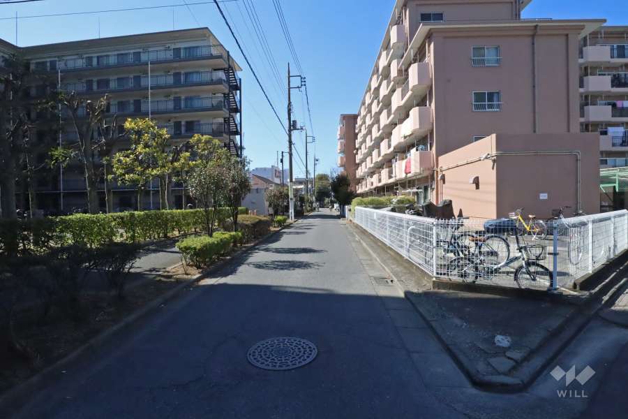 敷地南側の前面道路（東側から）