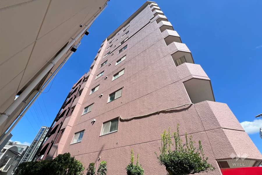 セザール金町の外観（南西側から）
