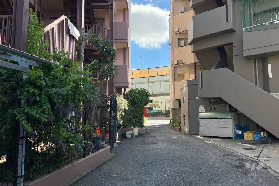 敷地西側の前面道路（北側から）