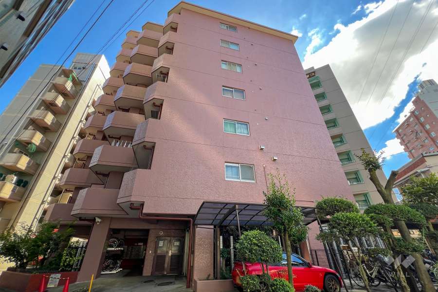 セザール金町の外観（北東側から）