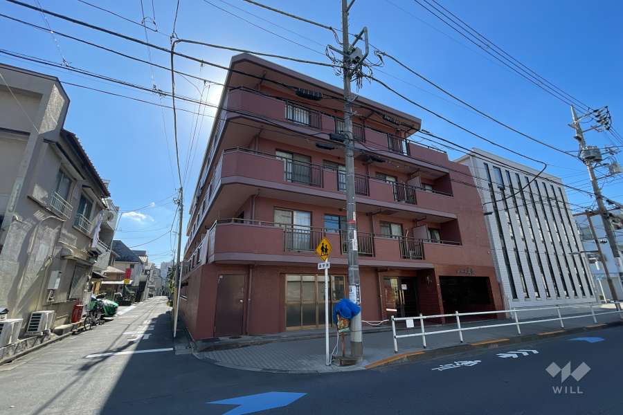 セザール立石の外観（北東側から）