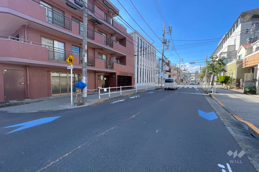 敷地の北東側前面道路（南東側から）