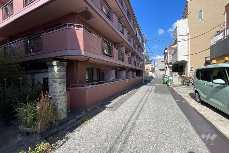 敷地の南東側前面道路（南西側から）