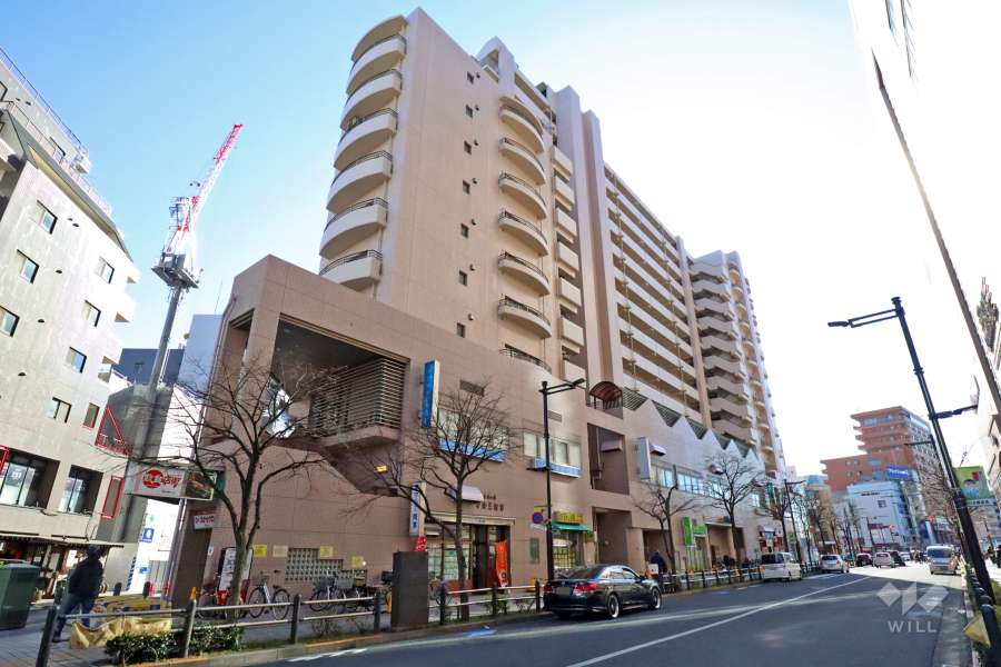 リリオ亀有弐番館の外観(北側から)