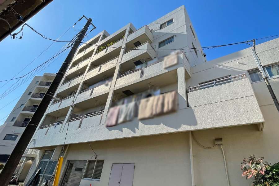 ハイホーム新小岩の外観（北東側から）