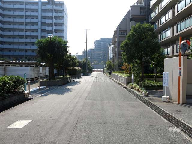 敷地東側の前面道路