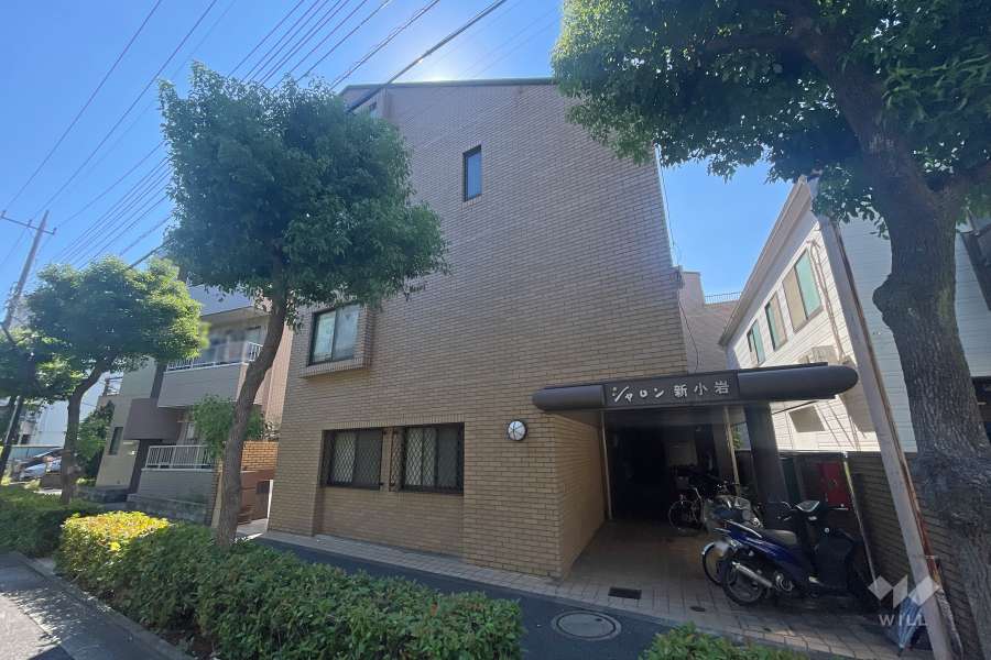 シャロン新小岩の外観（北東側から）