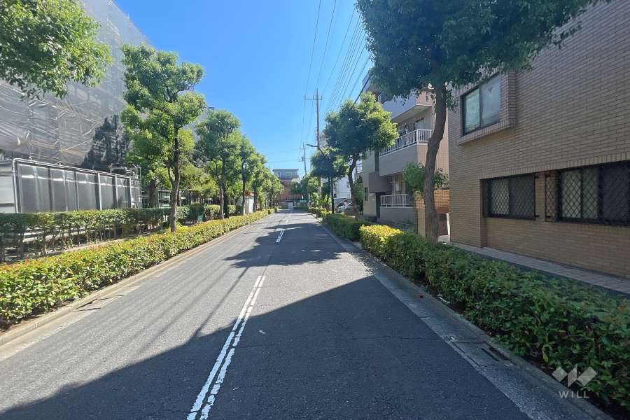 敷地東側の前面道路　