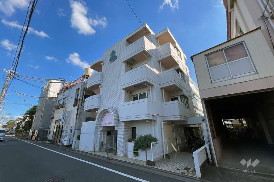 TOP立石第5の外観（北西側から）