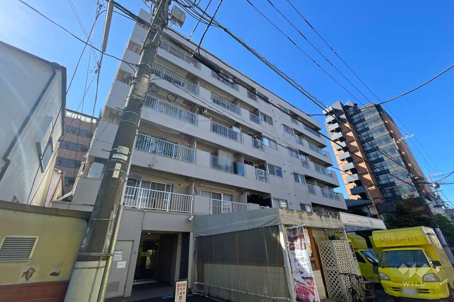 お花茶屋ダイヤモンドマンションの外観（北東側から）