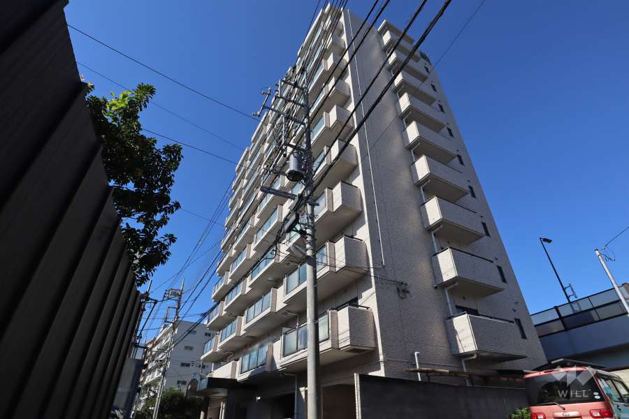 ビューコート金町の外観(南東側から)