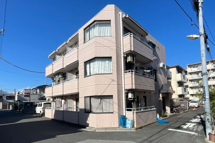 パレドール柴又の外観（南東側から）