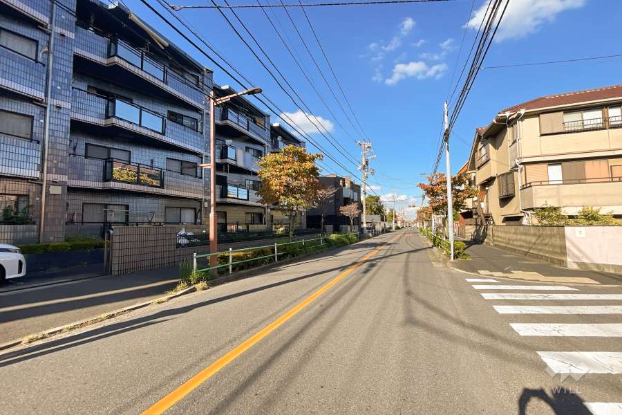 敷地南東側の前面道路（南西側から）