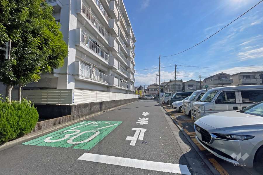 敷地の西側前面道路（北側から）