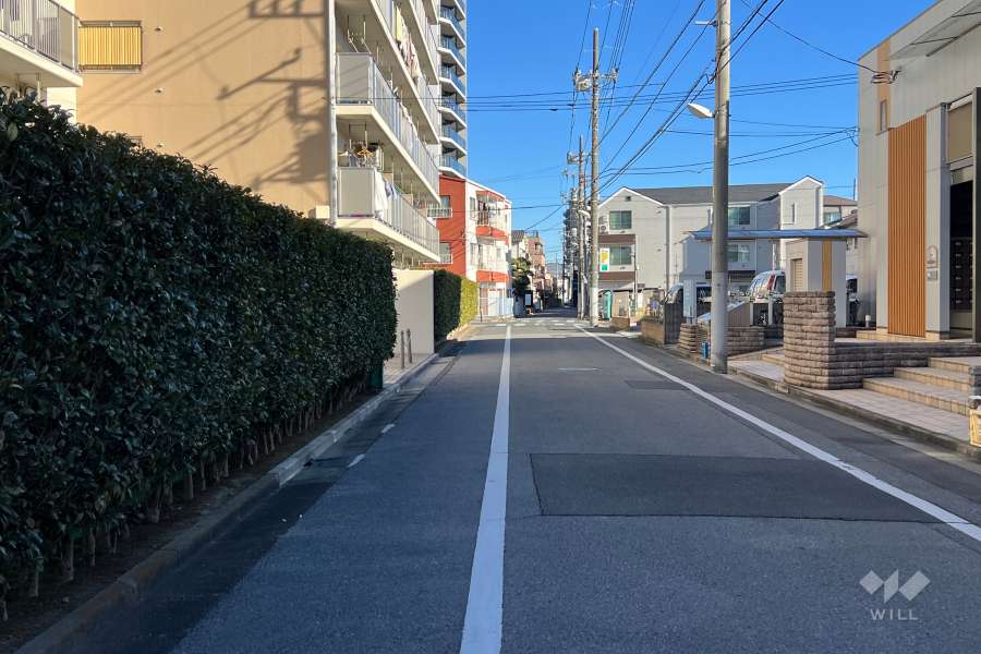 敷地の南側前面道路（西側から）