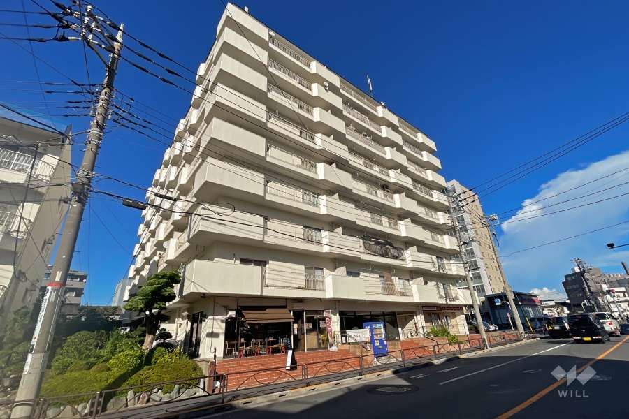白鳥ダイヤモンドマンション1号館の外観（南西側から）