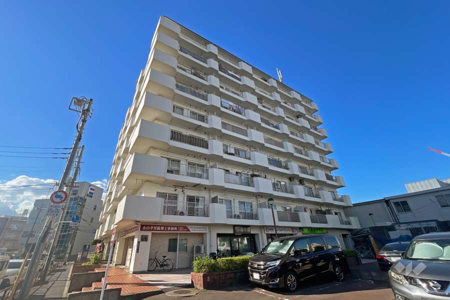 白鳥ダイヤモンドマンション1号館の外観（南東側から）