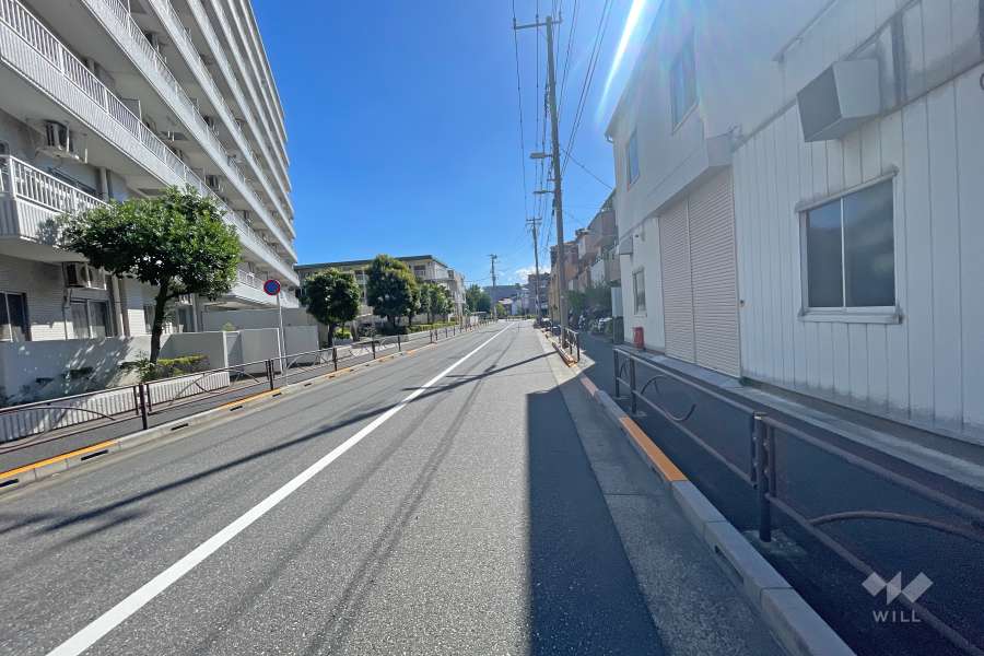 敷地西側の前面道路（北側から）