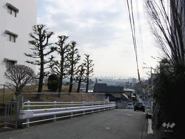 敷地西側の前面道路