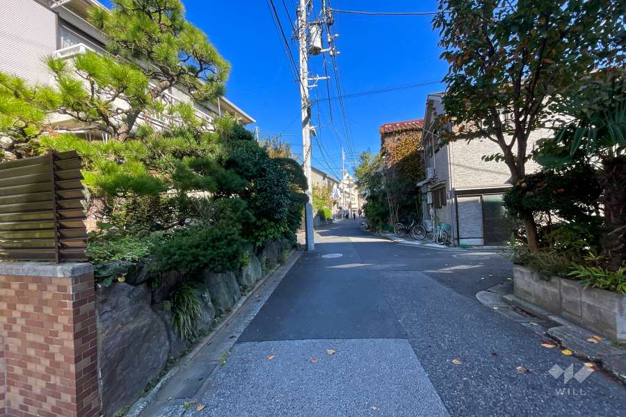 敷地南東側の前面道路（南西側から）