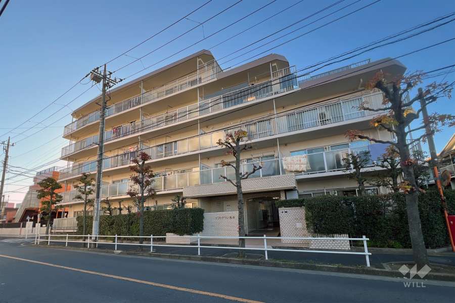 ソフトタウン亀有の外観（東側から）