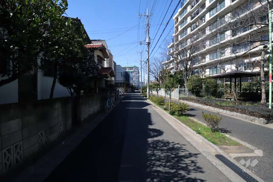 敷地西側の前面道路(北側から)