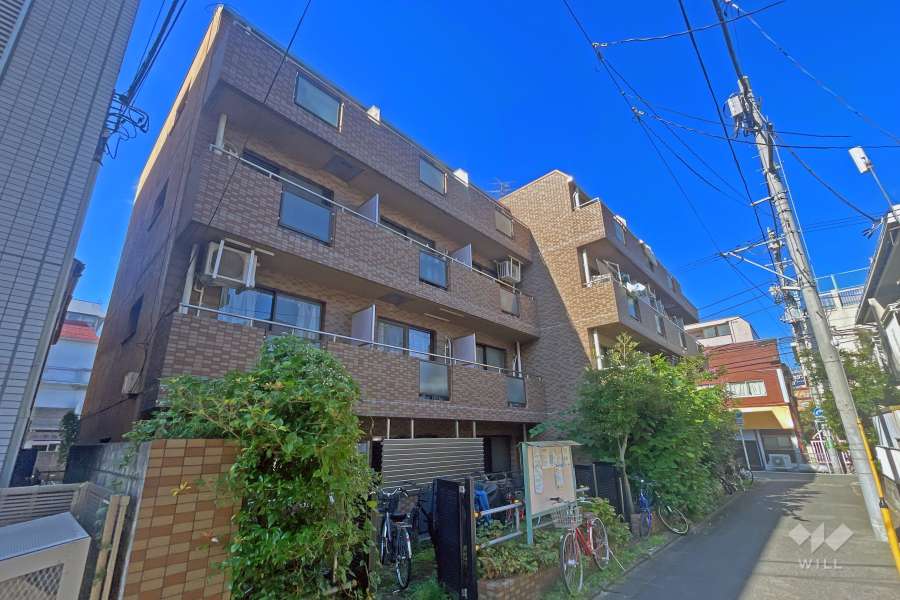 エルヴィーナ新小岩の外観（北東側から）