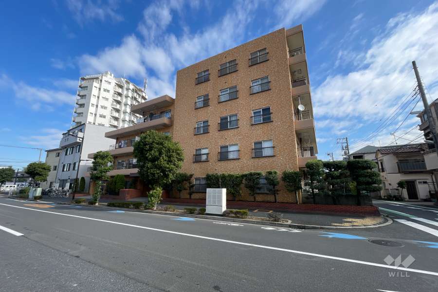 ライオンズマンション亀有の外観（南西側から）