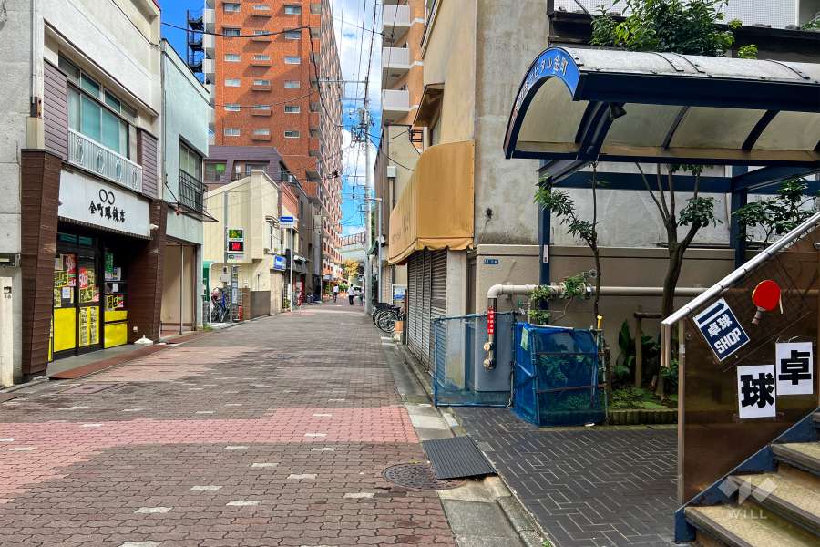 敷地北側の前面道路（西側から）