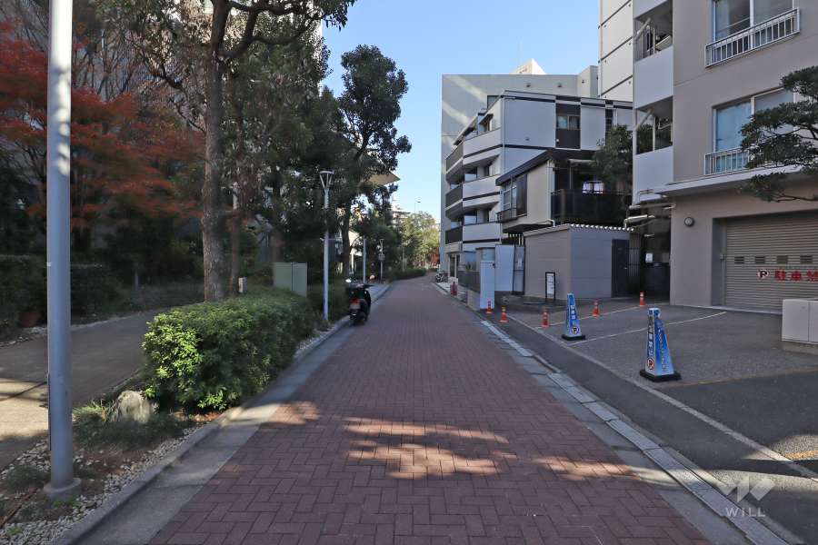 敷地北側の前面道路(西側から)